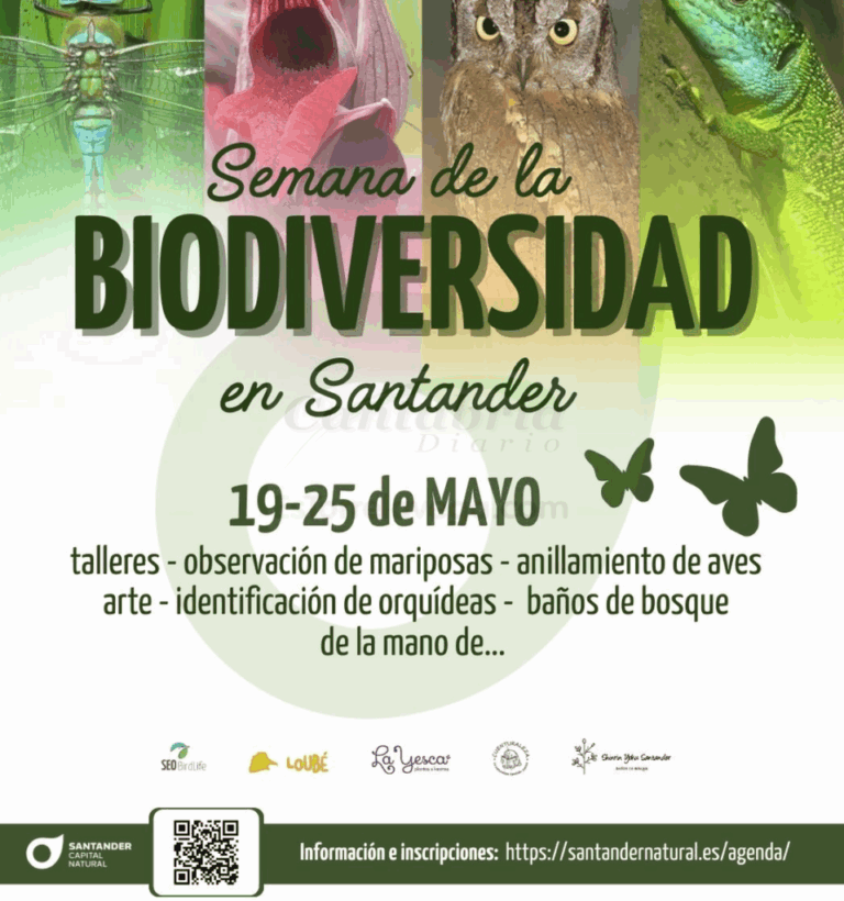HwMdcUI_ct8cAb4gkV-CANTABRIA-DIARIO-959x1024-optimized