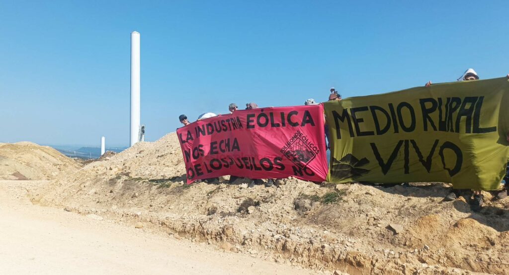 Activistas denuncian el "ecocidio" del polígono eólico El Escudo