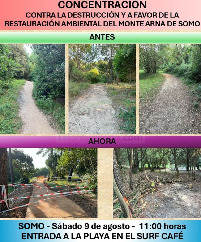HwMdcUI_1ppw6G2IUe-CANTABRIA-DIARIO-851x1024-optimized