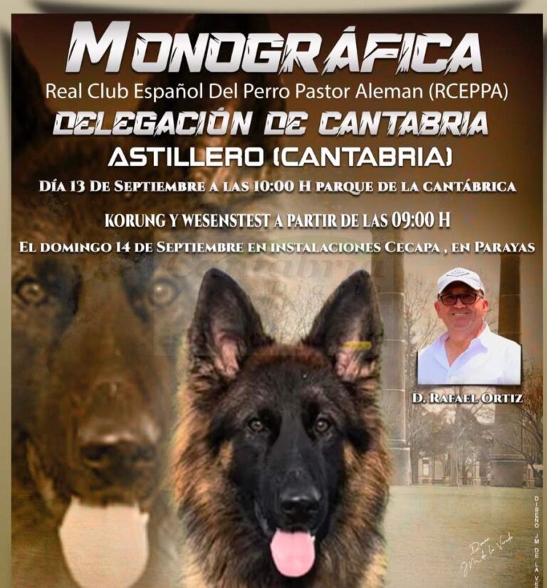 i_view64_P91LhSihPS-CANTABRIA-DIARIO-optimized