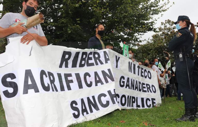 ShareX_c8CxVRqOrb-CANTABRIA-DIARIO-optimized