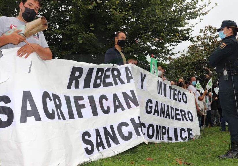 ShareX_c8CxVRqOrb-CANTABRIA-DIARIO-optimized