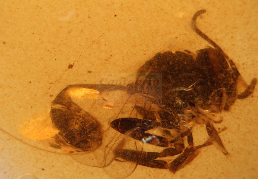 HwMdcUI_D40GYJQHcf-CANTABRIA-DIARIO-1024x709-optimized