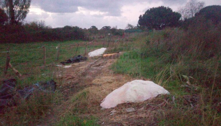 i_view64_1wqjWaMJdL-CANTABRIA-DIARIO-1024x587-optimized