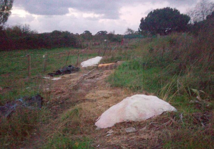 i_view64_1wqjWaMJdL-CANTABRIA-DIARIO-1024x587-optimized