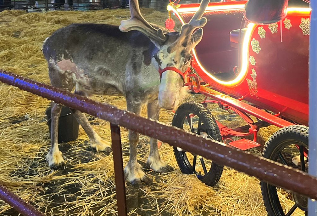 i_view64_RQR3Cr7Mhg-CANTABRIA-DIARIO-optimized