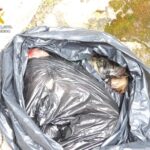 i_view64_jHKPbVat1U-CANTABRIA-DIARIO-1024x767-optimized