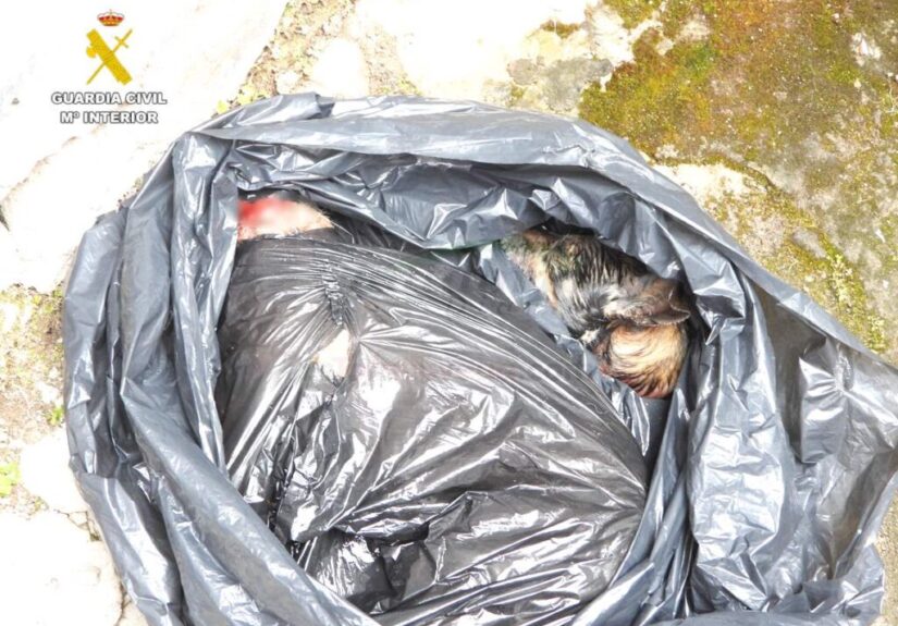 i_view64_jHKPbVat1U-CANTABRIA-DIARIO-1024x767-optimized