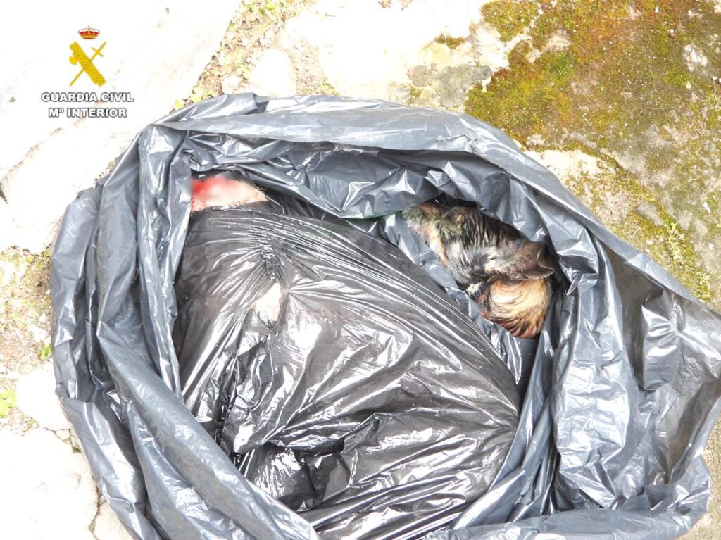 i_view64_jHKPbVat1U-CANTABRIA-DIARIO-1024x767-optimized