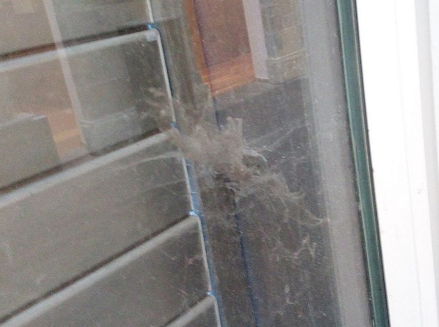 Noticias-de-Cantabria-en-CantabriaDiariocom1568