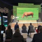 i_view64_JjOcdSBIby-CANTABRIA-DIARIO-1024x642-optimized