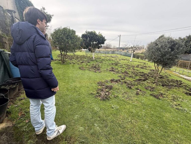 HwMdcUI_P5p01m9DHC-CANTABRIA-DIARIO-1024x769-1