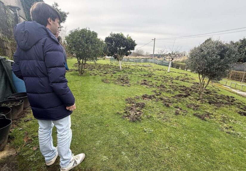 HwMdcUI_P5p01m9DHC-CANTABRIA-DIARIO-1024x769-1