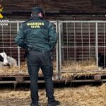 i_view64_FVvFhfBN2d-CANTABRIA-DIARIO-1024x768-optimized