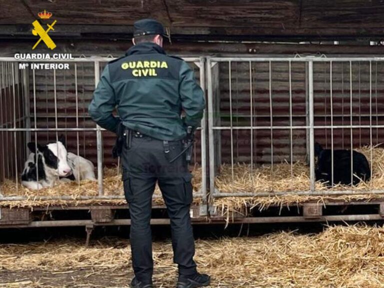 i_view64_FVvFhfBN2d-CANTABRIA-DIARIO-1024x768-optimized