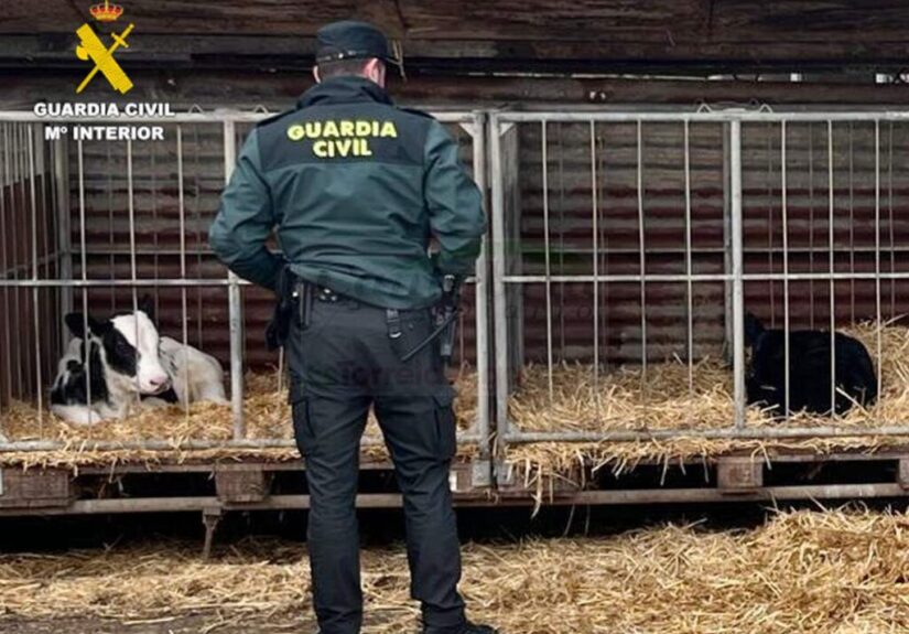 i_view64_FVvFhfBN2d-CANTABRIA-DIARIO-1024x768-optimized