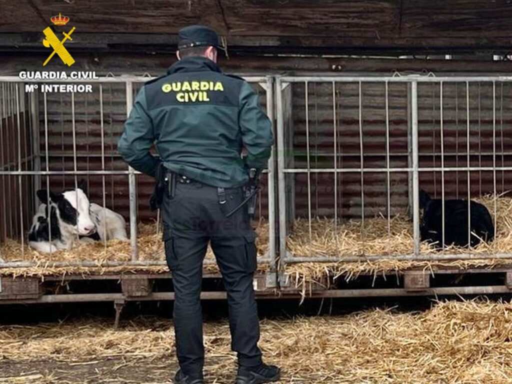 i_view64_FVvFhfBN2d-CANTABRIA-DIARIO-1024x768-optimized