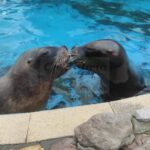 i_view64_Mn4G4qMsFl-CANTABRIA-DIARIO-1024x702-optimized