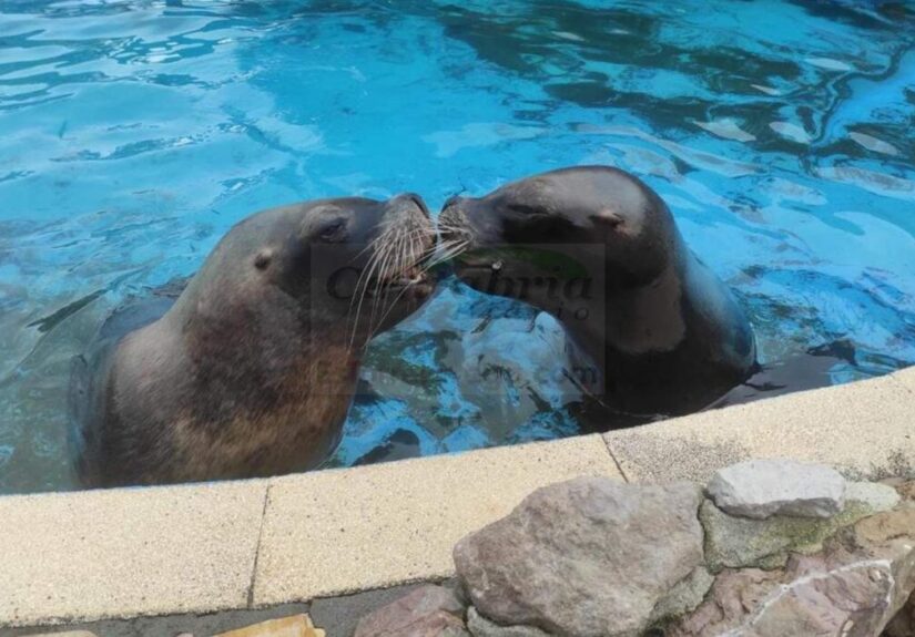 i_view64_Mn4G4qMsFl-CANTABRIA-DIARIO-1024x702-optimized