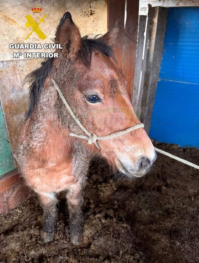 i_view64_vPVr7WdoMj-CANTABRIA-DIARIO-773x1024-1