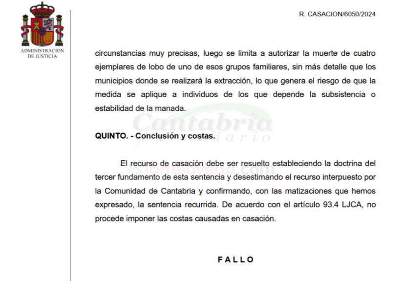 HwMdcUI_OYDGBq3IOn-CANTABRIA-DIARIO-1024x858-optimized
