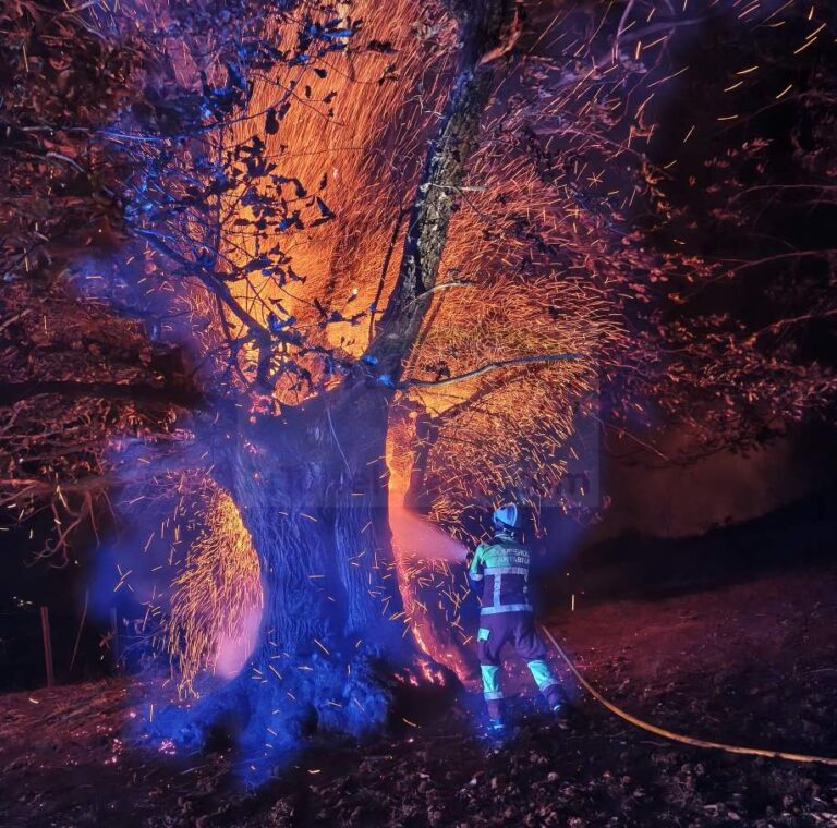 i_view64_1B02xPsXAh-CANTABRIA-DIARIO-optimized