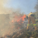 i_view64_Jago1vxKa3-CANTABRIA-DIARIO-optimized