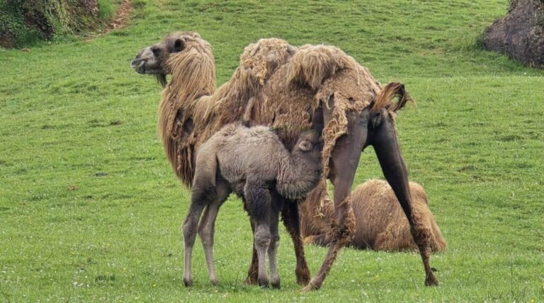 HwMdcUI_N2aolUgP0u-CANTABRIA-DIARIO-1024x572-optimized