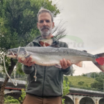 i_view64_QpmaVXtPnO-CANTABRIA-DIARIO-optimized