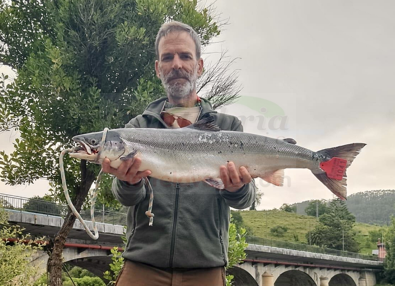 i_view64_QpmaVXtPnO-CANTABRIA-DIARIO-optimized