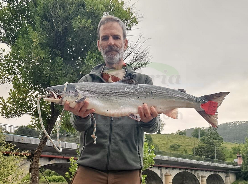 i_view64_QpmaVXtPnO-CANTABRIA-DIARIO-optimized