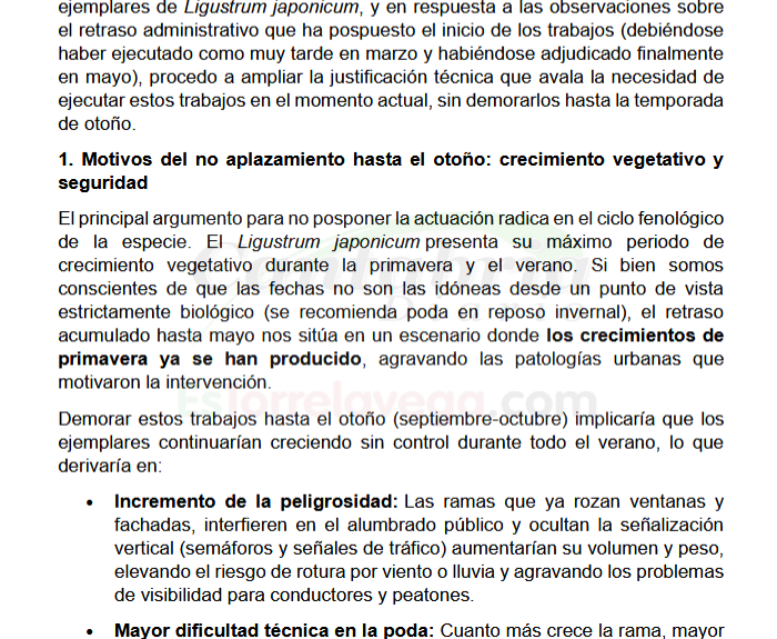 thunderbird_pFAXqd4gFF-CANTABRIA-DIARIO