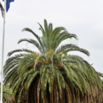 i_view64_kWs8aTKiVi-CANTABRIA-DIARIO-optimized