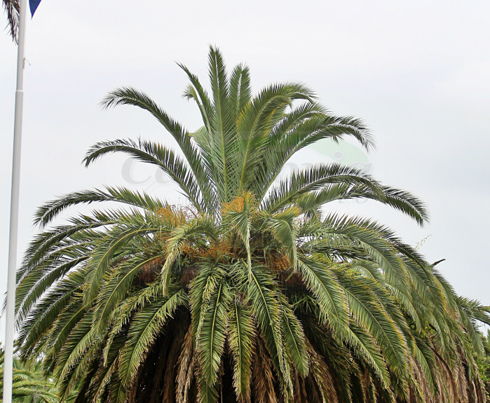 i_view64_kWs8aTKiVi-CANTABRIA-DIARIO-optimized