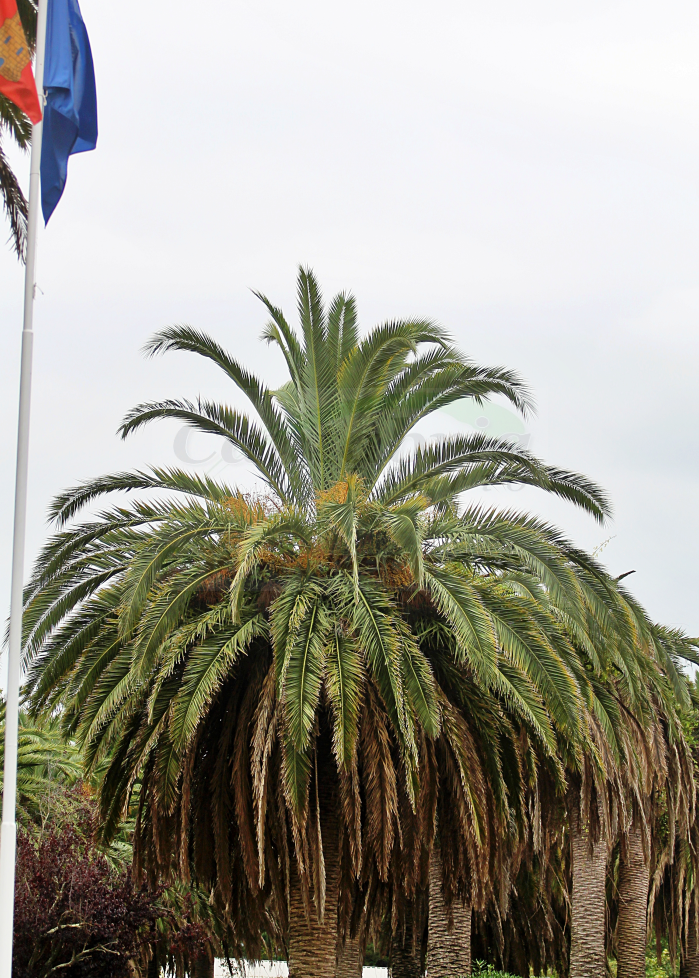 i_view64_kWs8aTKiVi-CANTABRIA-DIARIO-optimized